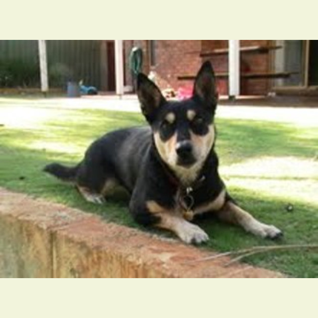 Photo of Molly
