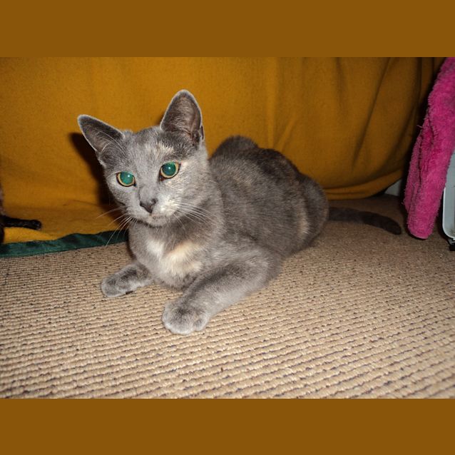 Photo of Sister Of Nonameyet