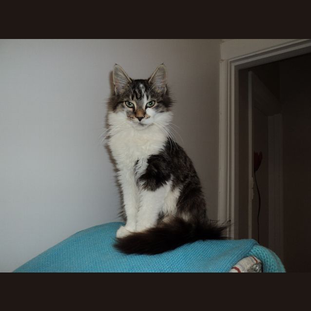 Photo of Fifi