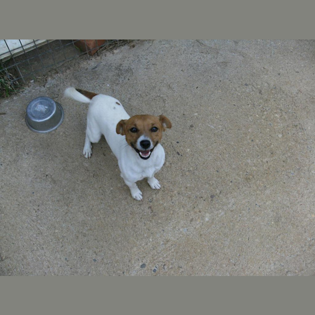 Photo of Pablo