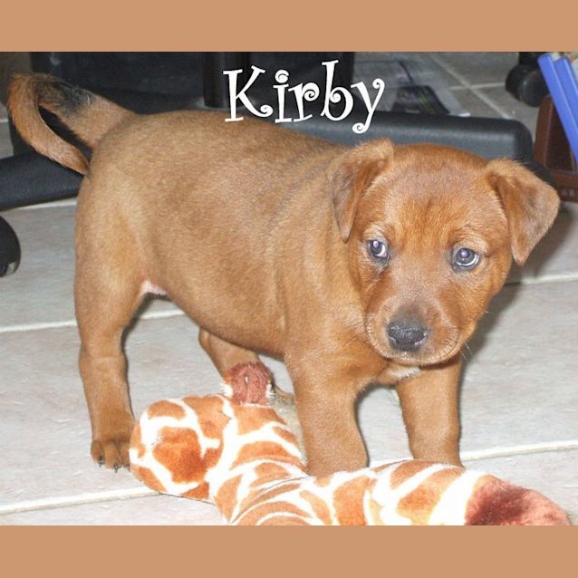 Photo of Kirby (On Trial)