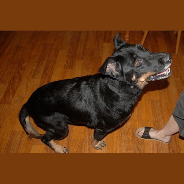Photo of Urgent Foster Carer Also Available For Adoption