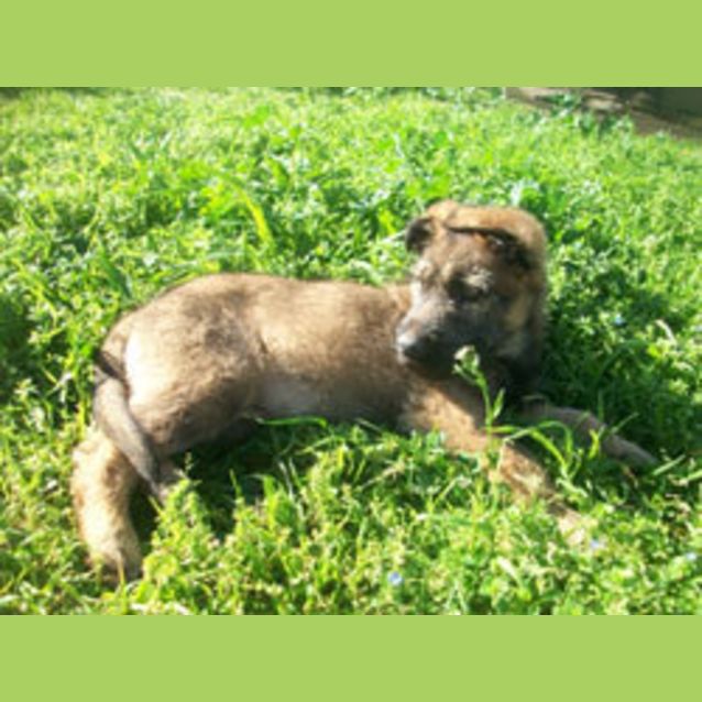 Photo of Hershey