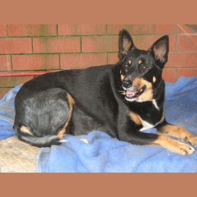 Photo of Winnie (On Trial)