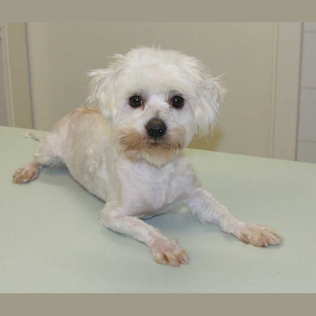 Photo of Barney (423)