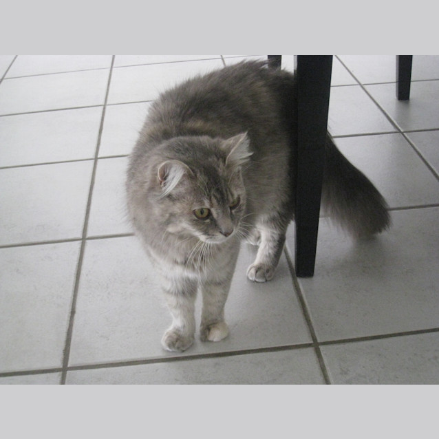 Photo of Hermione Tippy Toes
