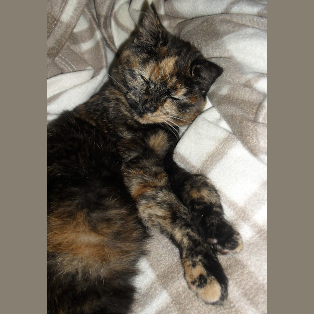 Photo of Evie