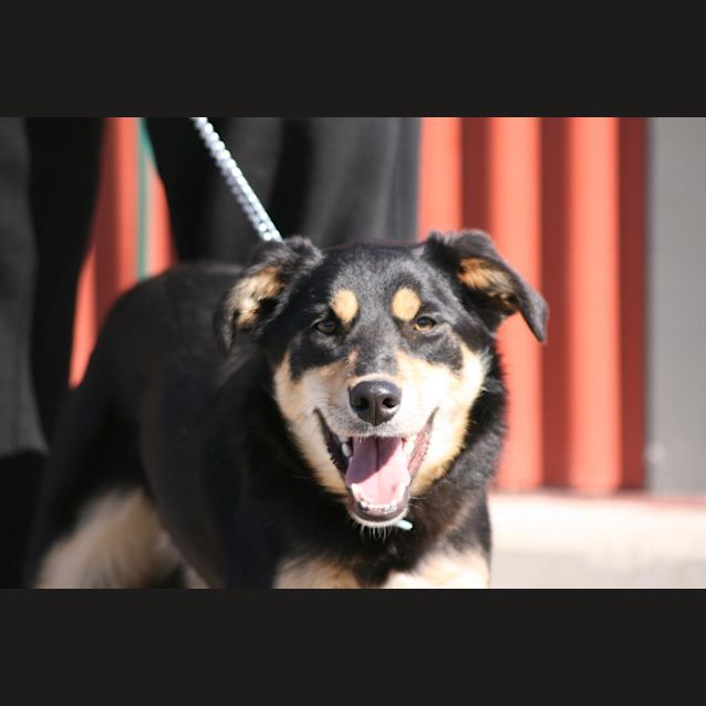Photo of Ruby