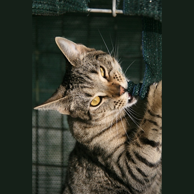 Photo of Thomas