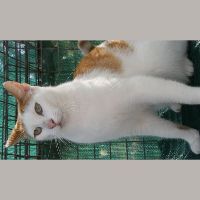 Photo of Jaffa