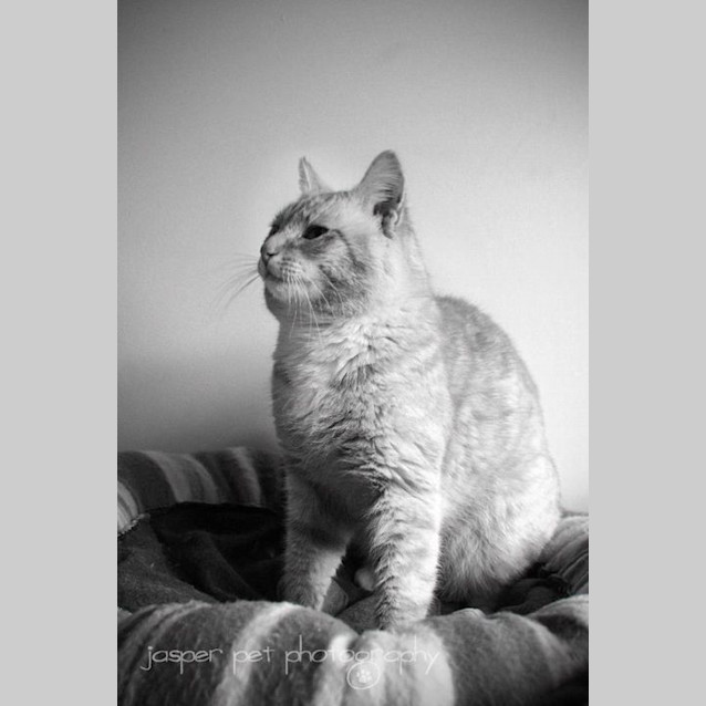 Photo of Andy   On Trial In His New Home!