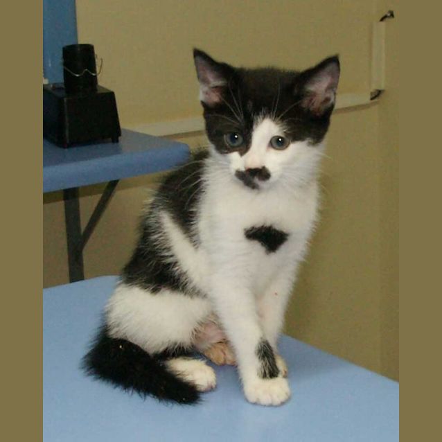 Photo of Sally