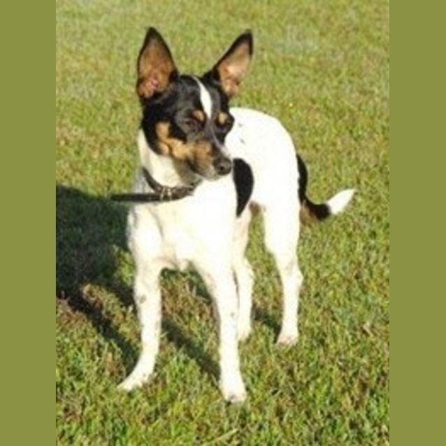 Photo of Marnie