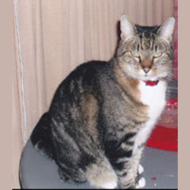 Photo of Amy