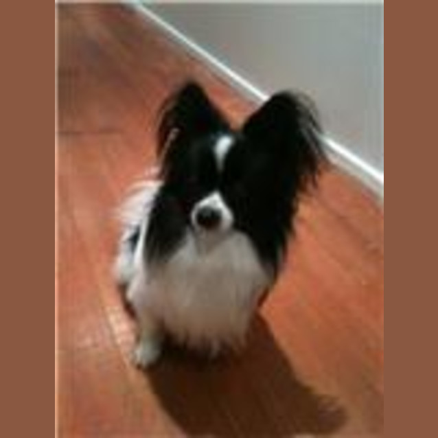 Photo of Len