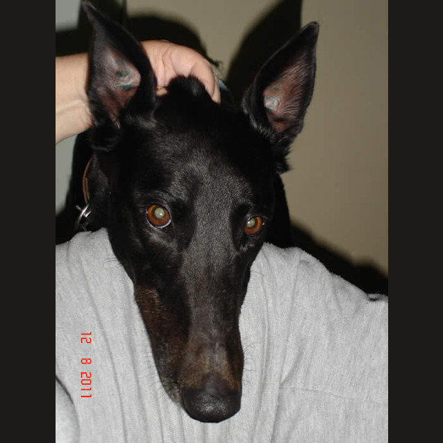 Photo of Razzle