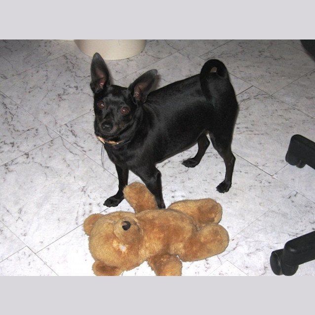 Photo of Fredie