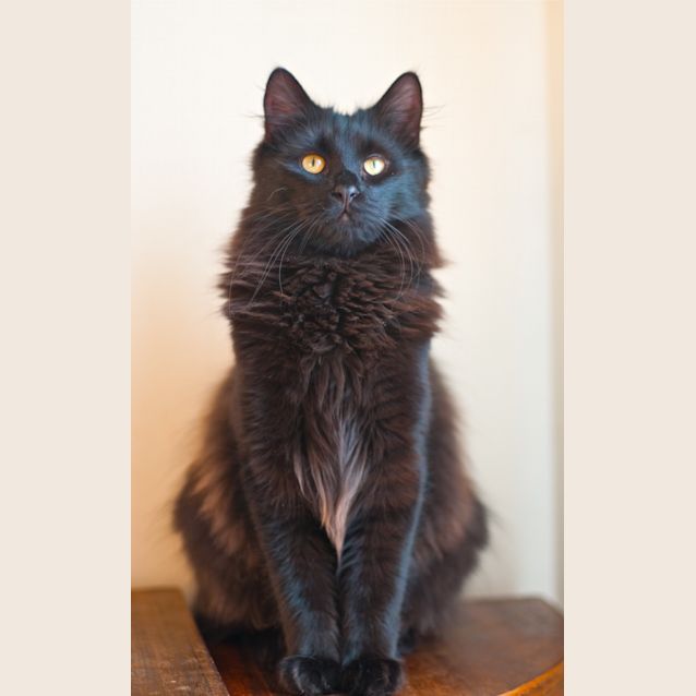 Photo of Arkansas And Detroit