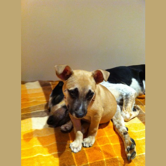 Photo of Tyson Av291 What A Cutey! On Trial