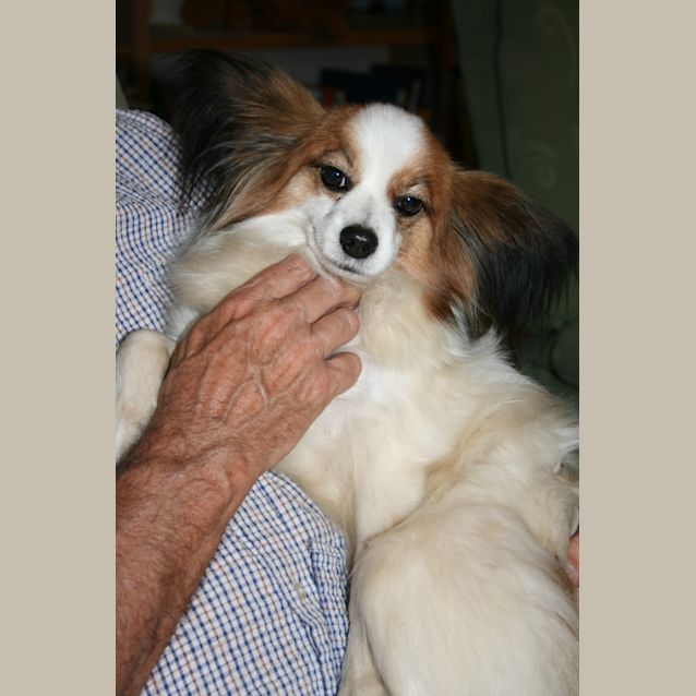 Photo of Chester (On Trial)