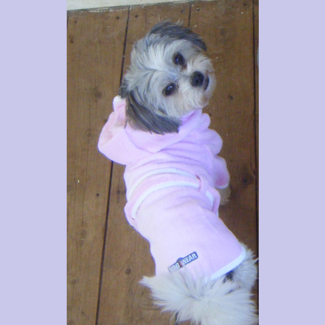 Photo of Lani **On Adoption Trial**