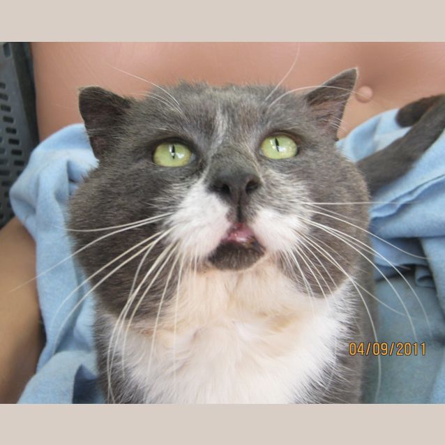 Photo of Gunther Hepworth Jones