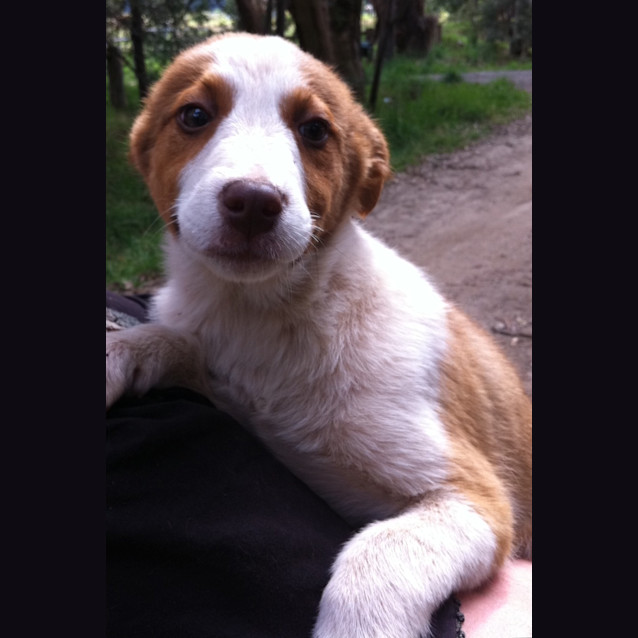 Photo of Elladora (No More Applications Please)