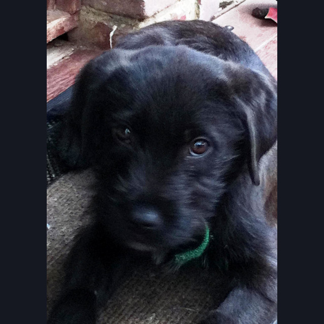 Photo of Miss Daisy