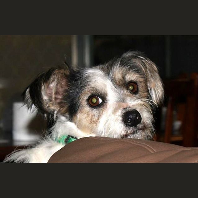 Photo of Betty