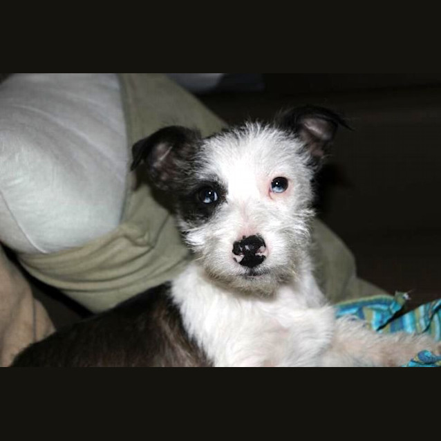 Photo of Wilma