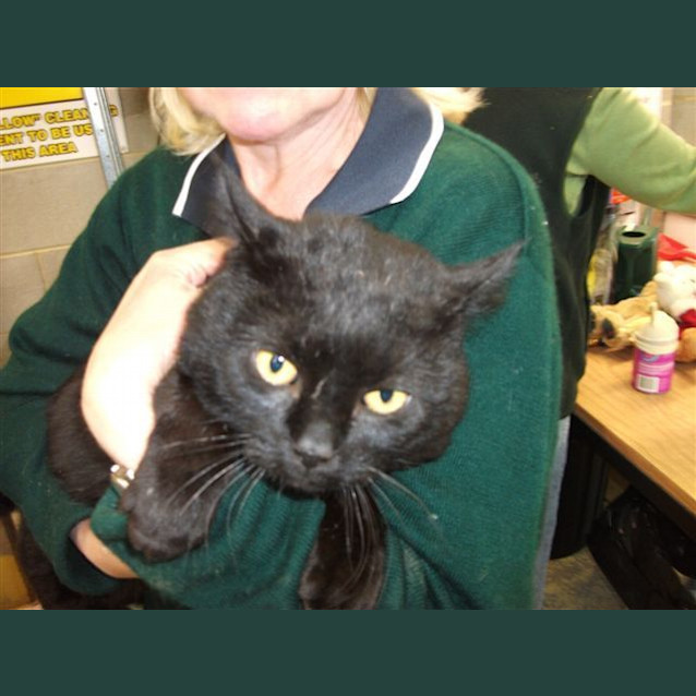 Photo of Abercrombie