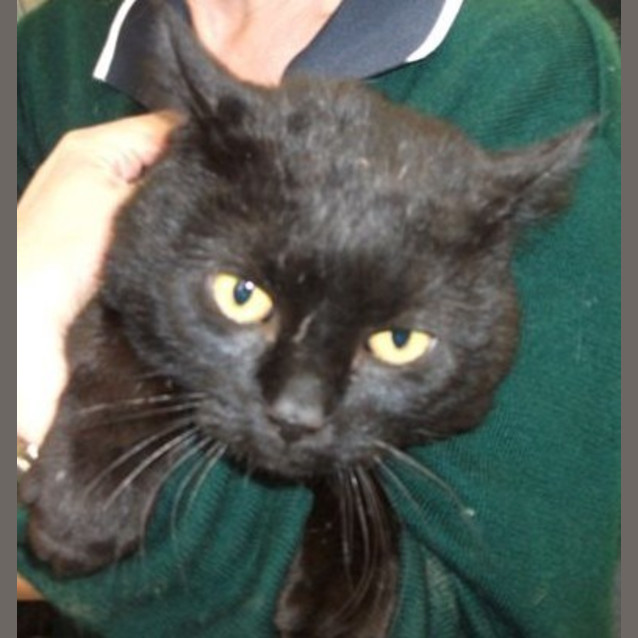 Photo of Abercrombie