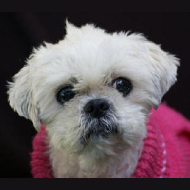 Photo of Jessie