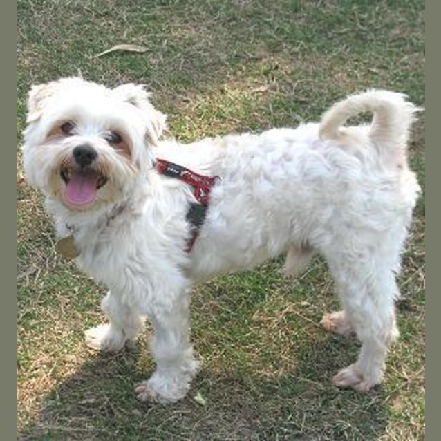 Photo of Benny