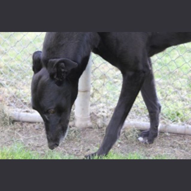 Photo of Rocket