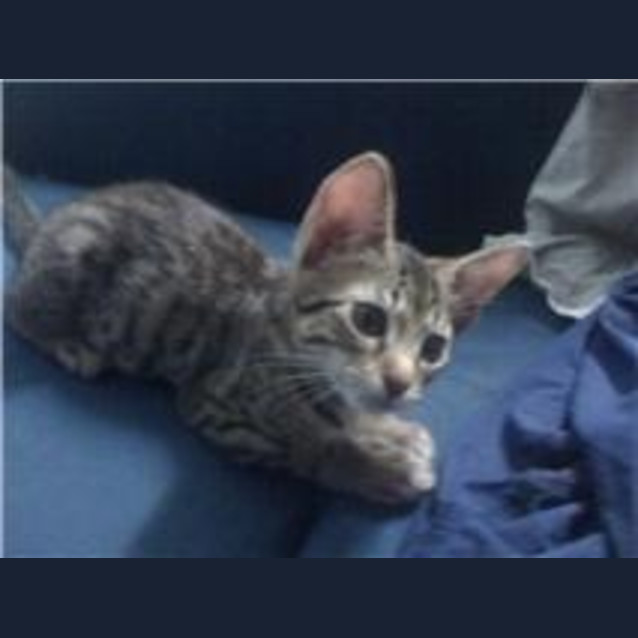 Photo of Runty