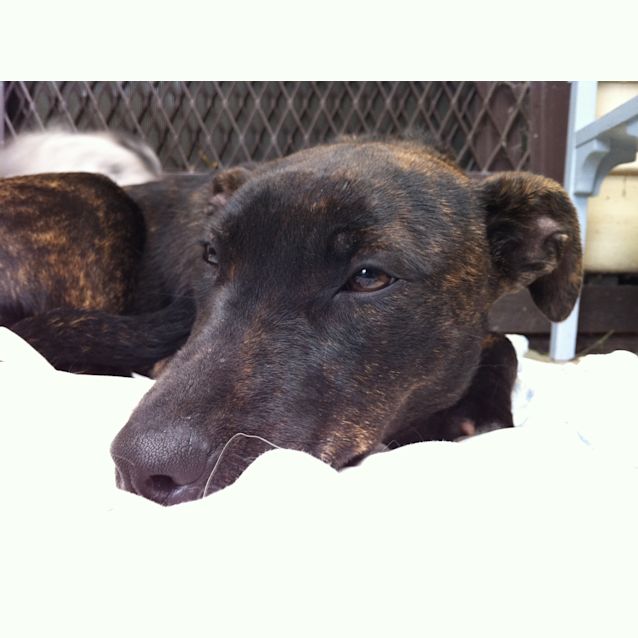 Photo of Polly   "Pretty" Polly