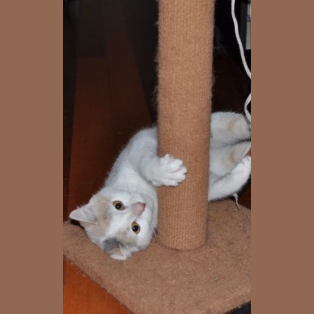Photo of Noodles