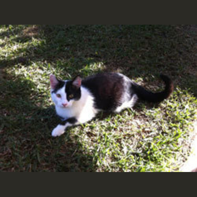 Photo of Bently