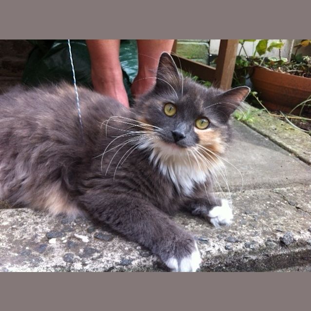 Photo of Maisy
