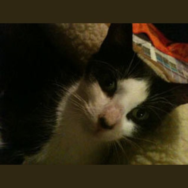 Photo of Mama