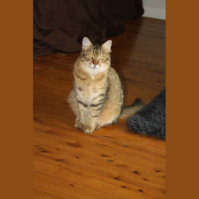 Photo of Matilda