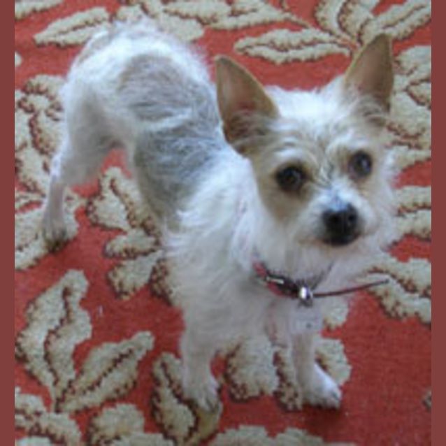 Photo of Lillie