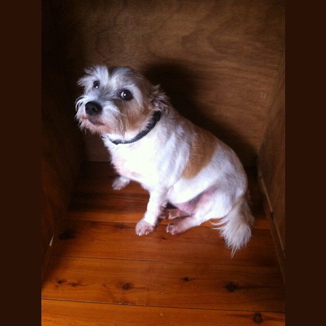 Photo of Milly