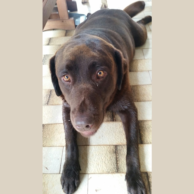 Photo of Cooper & Bundy