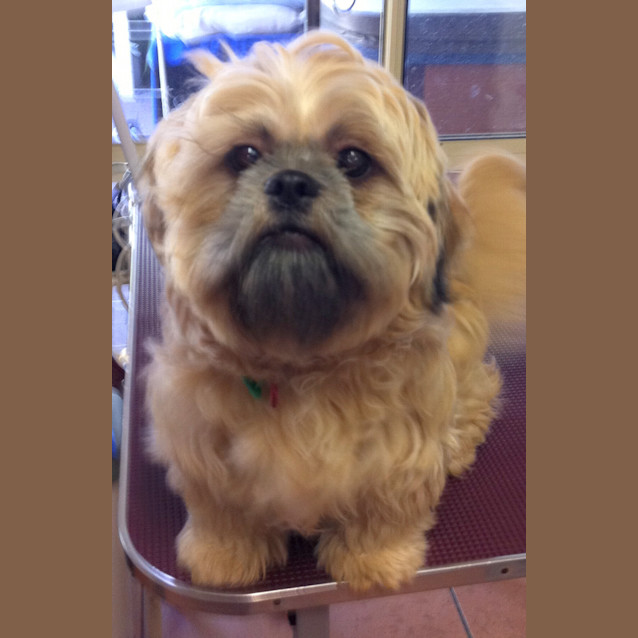 Photo of Molly (On Trial)