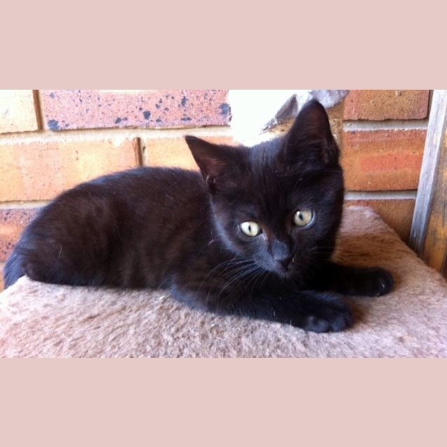 Photo of Sally