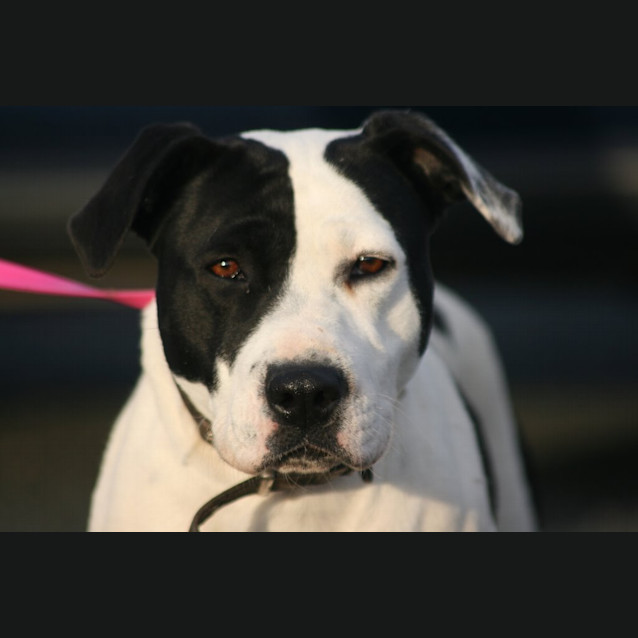 Photo of Maude