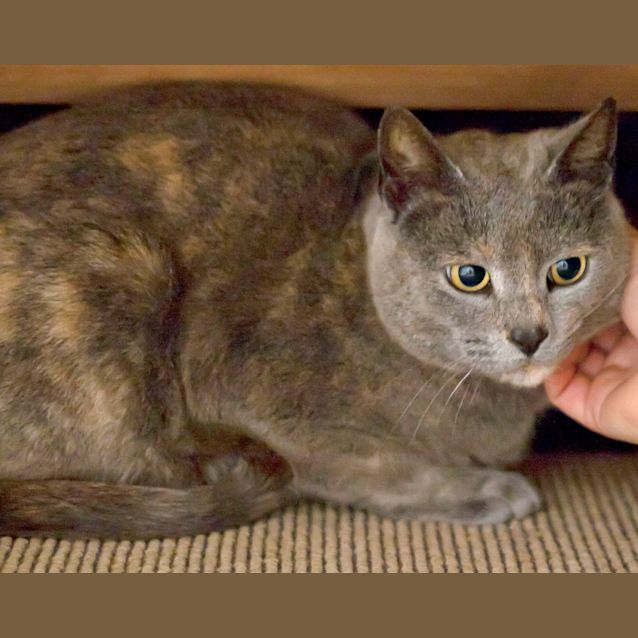 Photo of Gina