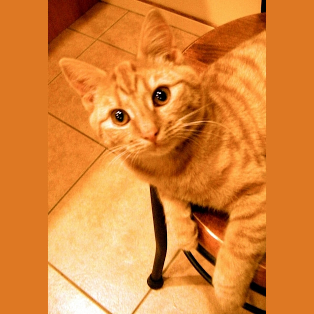 Photo of Penny